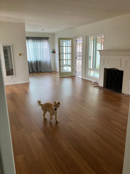 Our Last Month In California