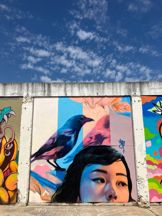 Street Art, Food, & Shops in San Antonio, TX | March 2024 | Road Trip Reflections