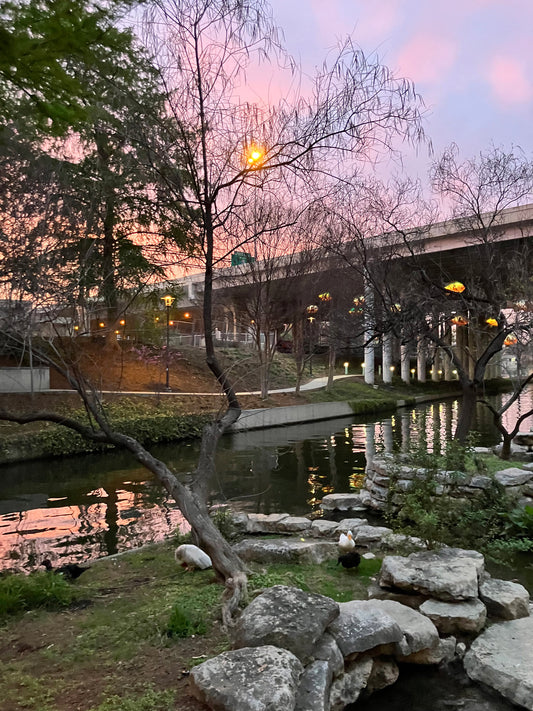 San Antonio Riverwalk, TX | March 2024 | Road Trip Reflections