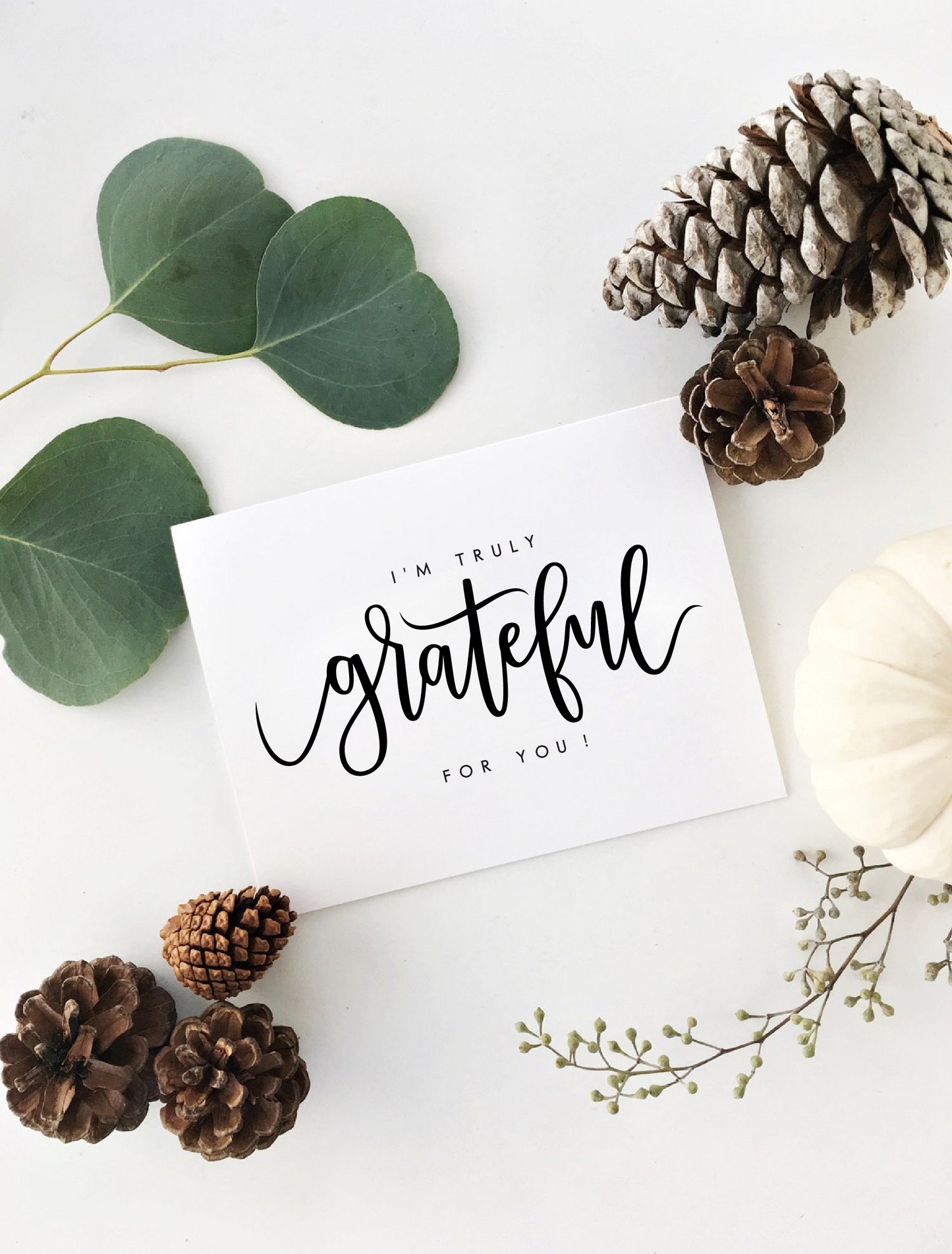 Assorted Gratitude Card Set, Pack of 6