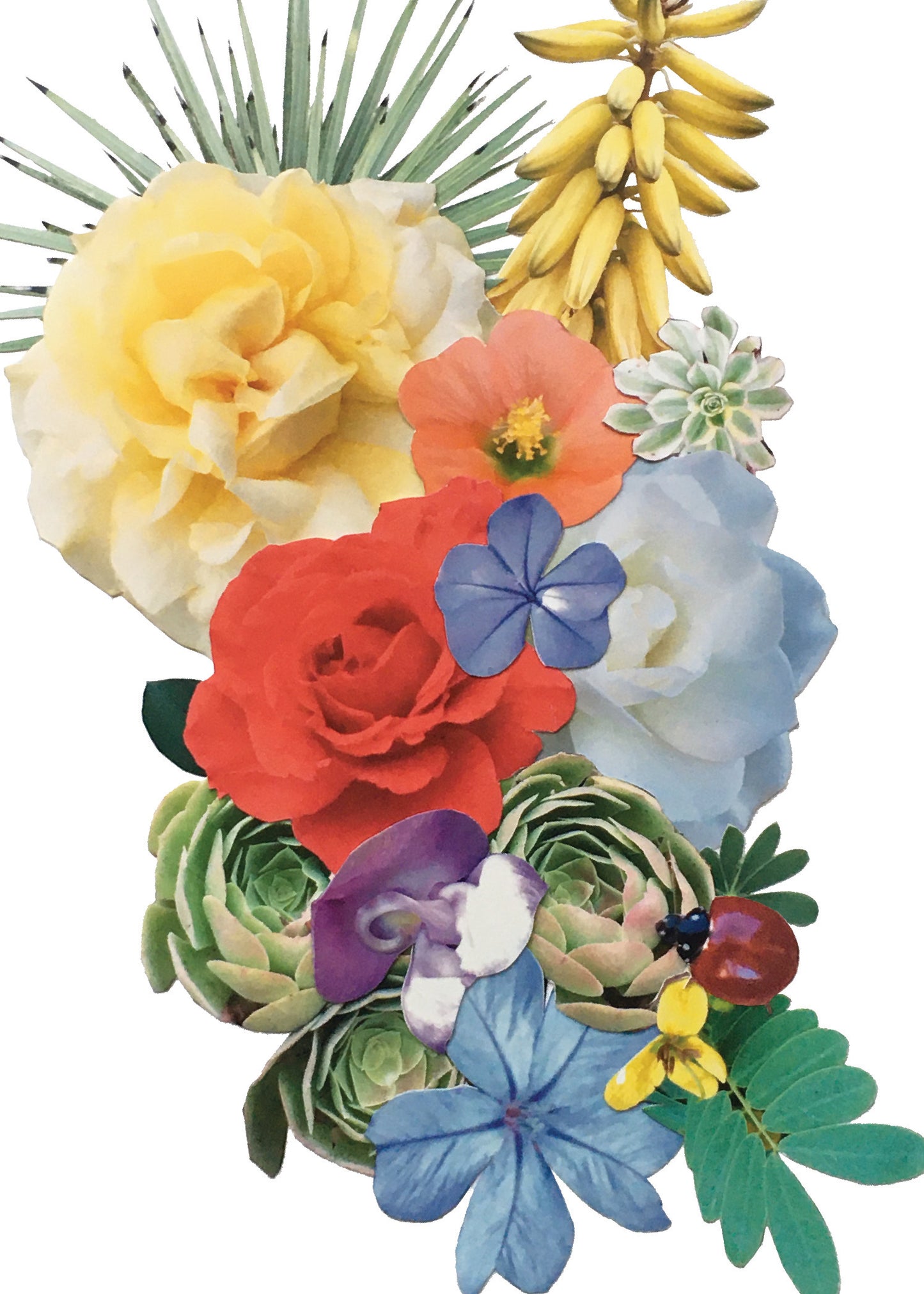 SECONDS SALE! 5"x7" Ladybug Floral Collage Print