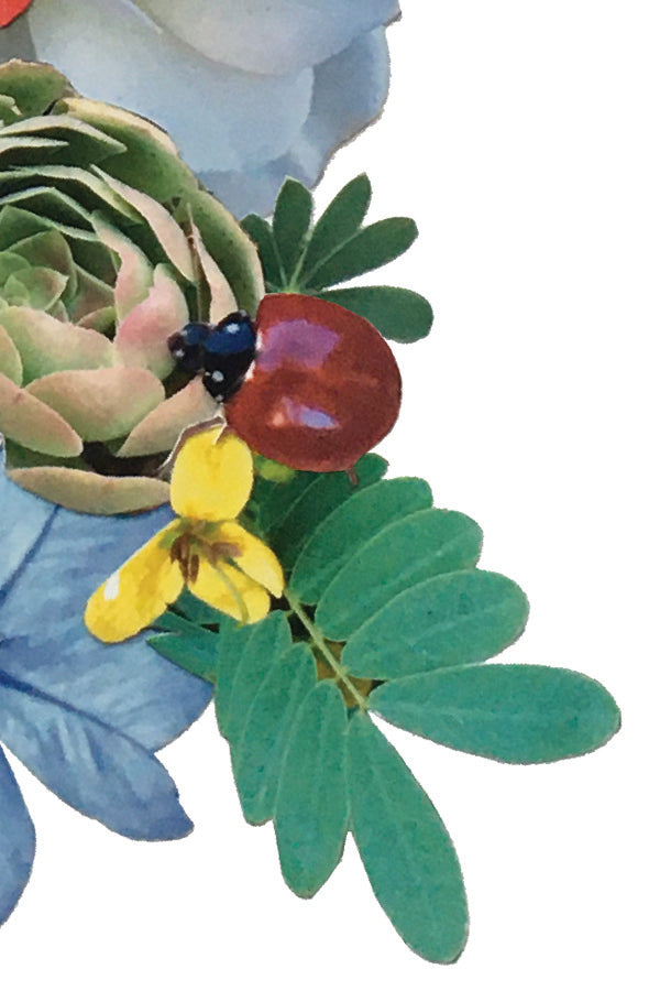 Ladybug Floral Collage Print