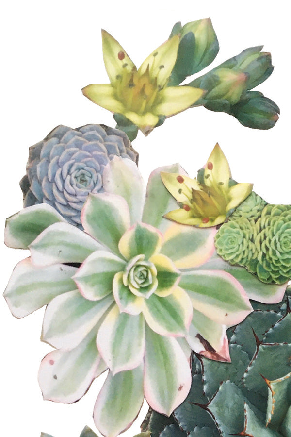 Bee Succulent Collage Print