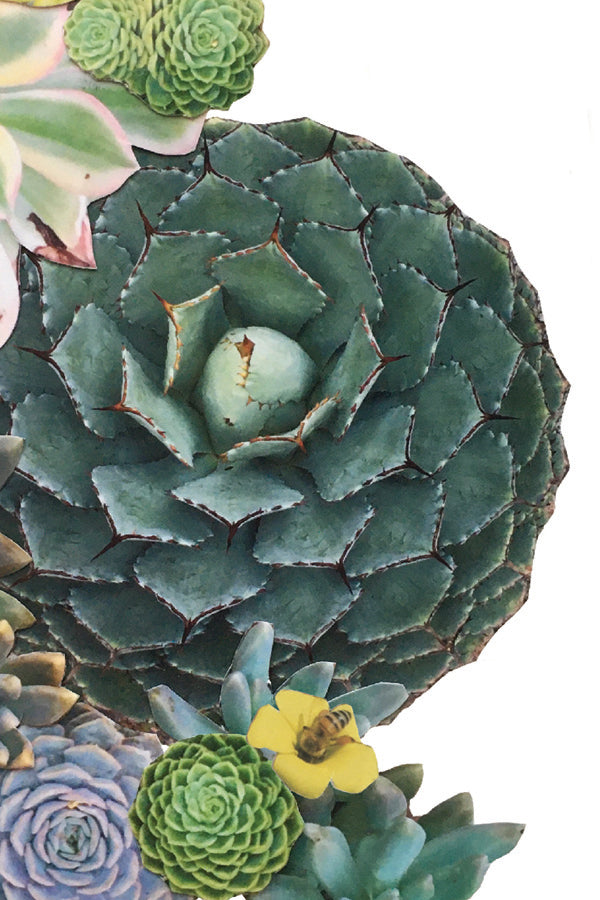 Bee Succulent Collage Print