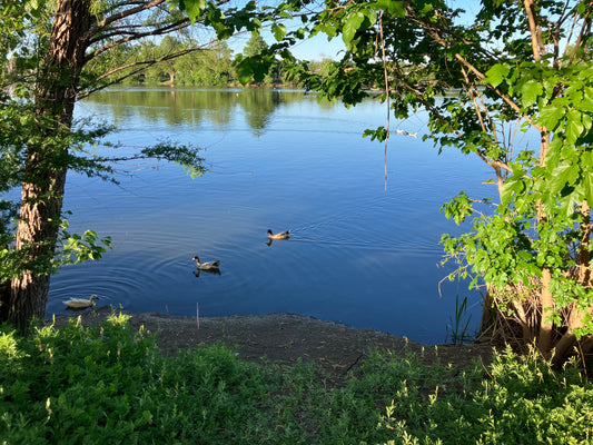 Exploring Nature In TX | March 2024 | Road Trip Reflections