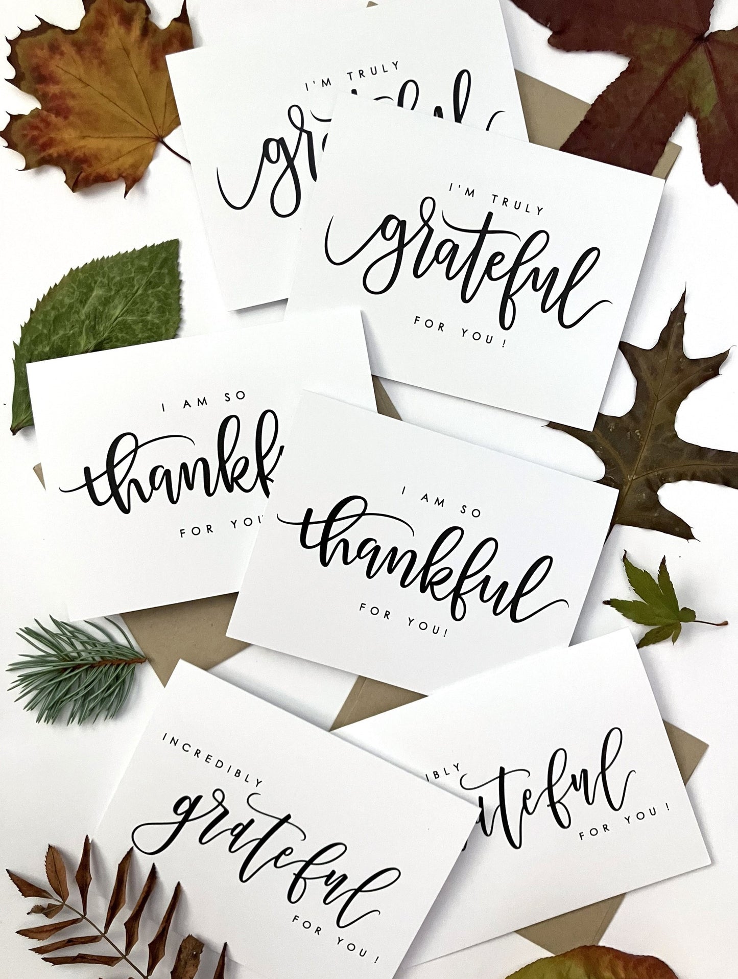 Assorted Gratitude Card Set, Pack of 6