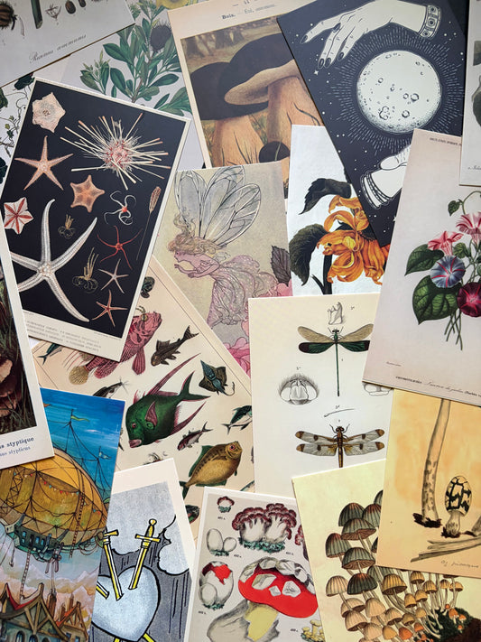 August Mail - Creative Spark Club